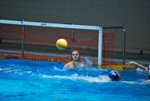 payton_v_flipper_142.jpg