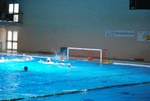 payton_v_flipper_145.jpg