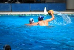 payton_v_flipper_146.jpg