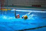 payton_v_flipper_148.jpg