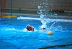 payton_v_flipper_149.jpg