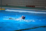 payton_v_flipper_150.jpg