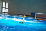 payton_v_flipper_151.jpg