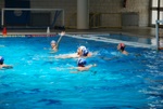 payton_v_flipper_157.jpg