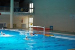 payton_v_flipper_158.jpg