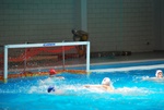 payton_v_flipper_159.jpg