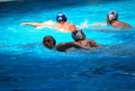 payton_v_flipper_169.jpg