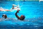 payton_v_flipper_174.jpg