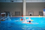 payton_v_flipper_180.jpg
