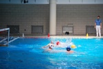 payton_v_flipper_181.jpg