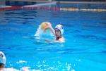 payton_v_flipper_21.jpg