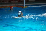 payton_v_flipper_34.jpg