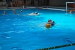 payton_v_flipper_38.jpg