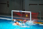 payton_v_flipper_42.jpg