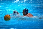 payton_v_flipper_44.jpg