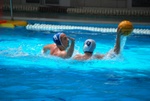 payton_v_flipper_68.jpg