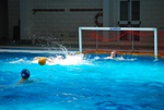 payton_v_flipper_69.jpg