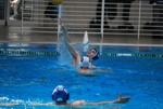 payton_v_flipper_72.jpg