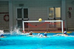 payton_v_flipper_75.jpg