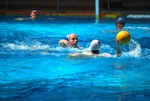 payton_v_flipper_76.jpg