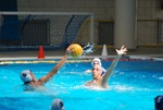 payton_v_flipper_92.jpg