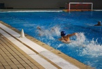 flipper_vs_castellana10.jpg
