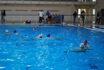 flipper_vs_castellana11.jpg
