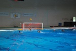 flipper_vs_castellana15.jpg