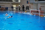 flipper_vs_castellana17.jpg