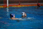 flipper_vs_castellana19.jpg