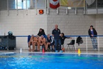 flipper_vs_castellana28.jpg