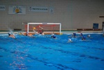 flipper_vs_castellana33.jpg