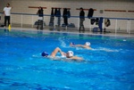 flipper_vs_castellana35.jpg