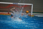 flipper_vs_castellana36.jpg