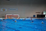 flipper_vs_castellana39.jpg