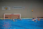flipper_vs_castellana40.jpg