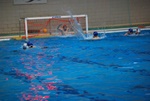 flipper_vs_castellana42.jpg