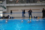 flipper_vs_castellana43.jpg