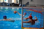 flipper_vs_castellana48.jpg
