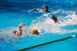 flipper_vs_fimco_07.jpg