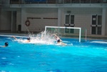 flipper_vs_fimco_08.jpg