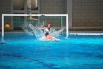 flipper_vs_fimco_09.jpg