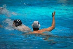 flipper_vs_fimco_10.jpg