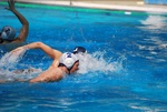 flipper_vs_fimco_11.jpg