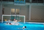 flipper_vs_fimco_12.jpg