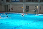 flipper_vs_fimco_13.jpg