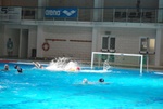 flipper_vs_fimco_14.jpg