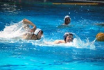 flipper_vs_fimco_16.jpg