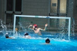 flipper_vs_fimco_17.jpg