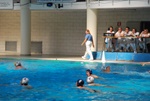 flipper_vs_fimco_19.jpg